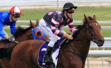 Tips for Karrakatta Day - 31st March